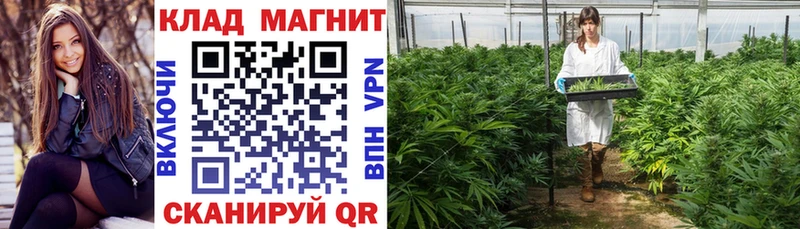 Магазин наркотиков Нелидово КОКАИН  СК  ГАШИШ  Бошки Шишки  АМФЕТАМИН  МЕФ 