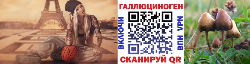 Галлюциногенные грибы мицелий  Нелидово 